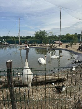 Navštívili sme Panthera park v Turej