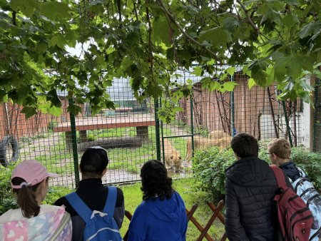 Navštívili sme Panthera park v Turej