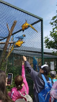 Navštívili sme Panthera park v Turej