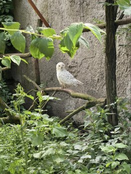 Navštívili sme Panthera park v Turej