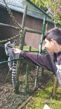 Navštívili sme Panthera park v Turej