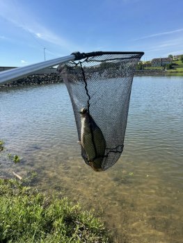 Učíme sa s poznávaním nášho okolia