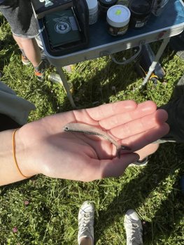 Učíme sa s poznávaním nášho okolia