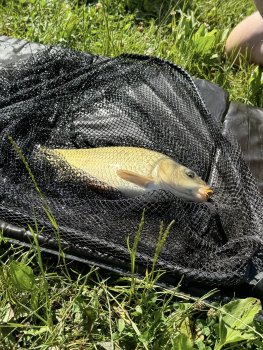 Učíme sa s poznávaním nášho okolia