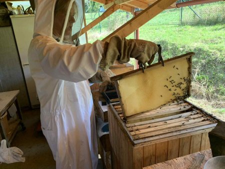 Exkurzia Včelohradu v Uňatíne