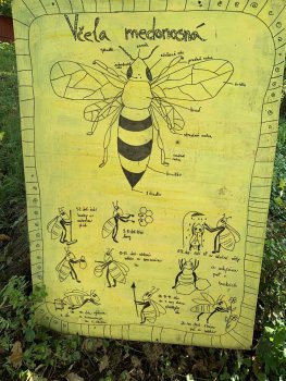 Exkurzia Včelohradu v Uňatíne