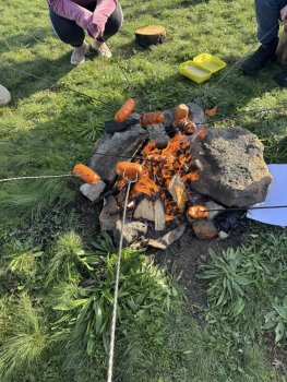 Účelové cvičenie