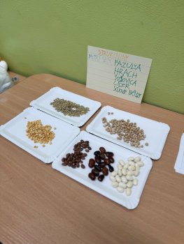 Hovorme o jedle - štvrtý deň