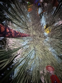 Navštívilo nás sférické kino!