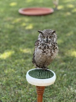 Poľovníci priniesli radosť deťom!