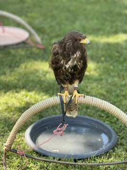 Poľovníci priniesli radosť deťom!