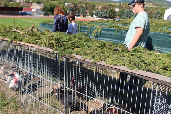 Naši žiaci navštívili výstavu zvierat